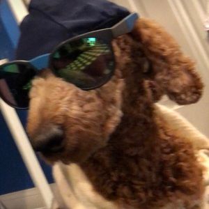 Meet your Posher, Luke